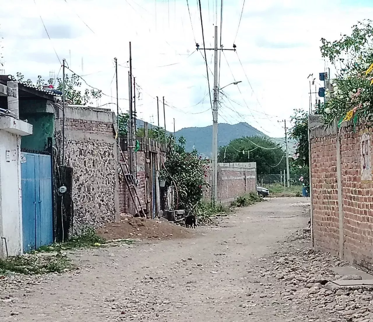 Vecinos de Carrizales exigen alumbrado público por falta de seguridad