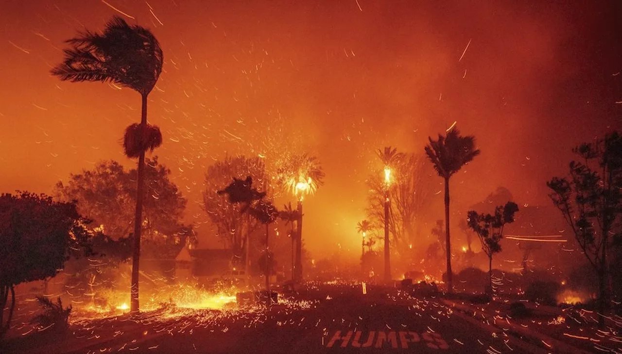 Los Angeles Wildfires: Did Budget Cuts Hinder Response?