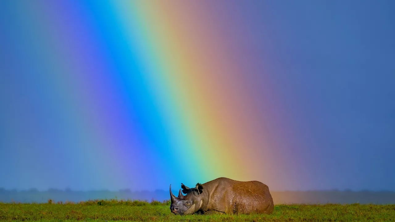 16 enthralling wildlife photos spotlighting the need for conservation