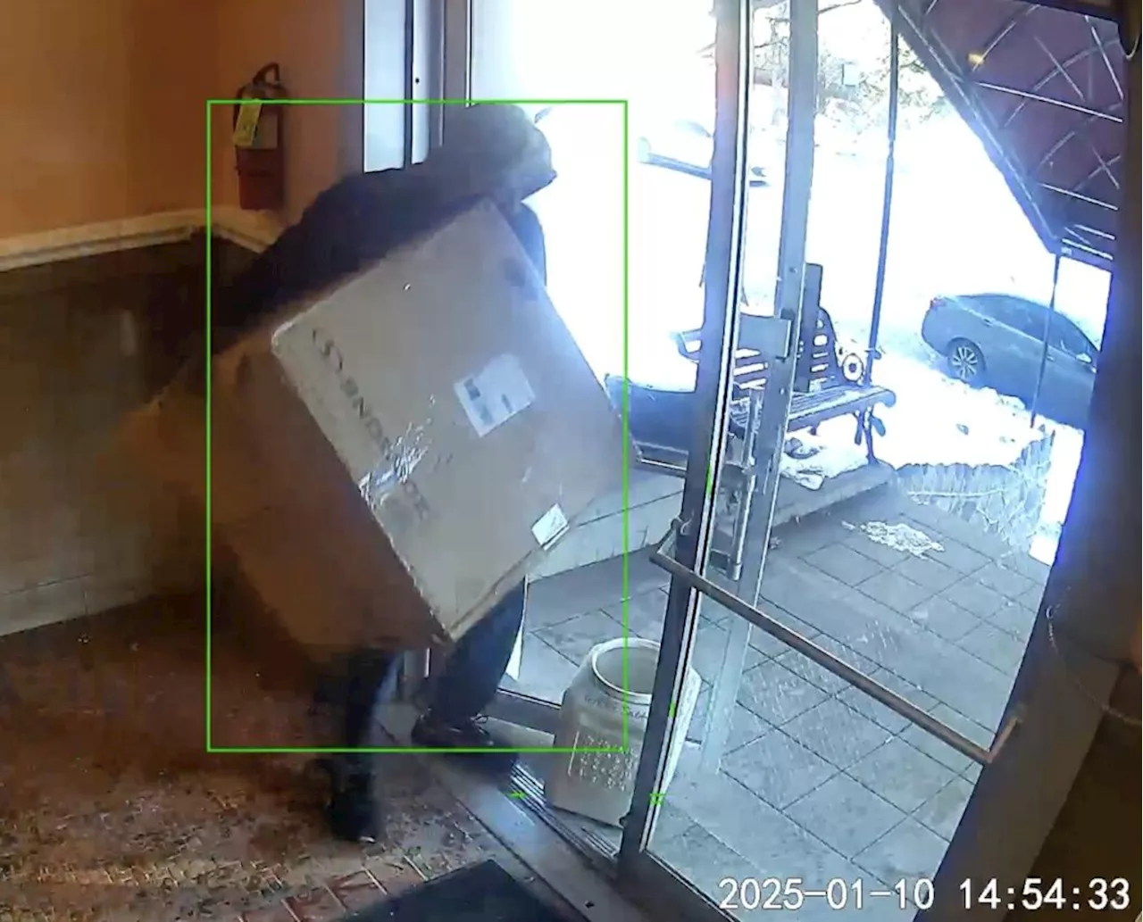 Package Theft from DC Residential Building by Amazon Drivers