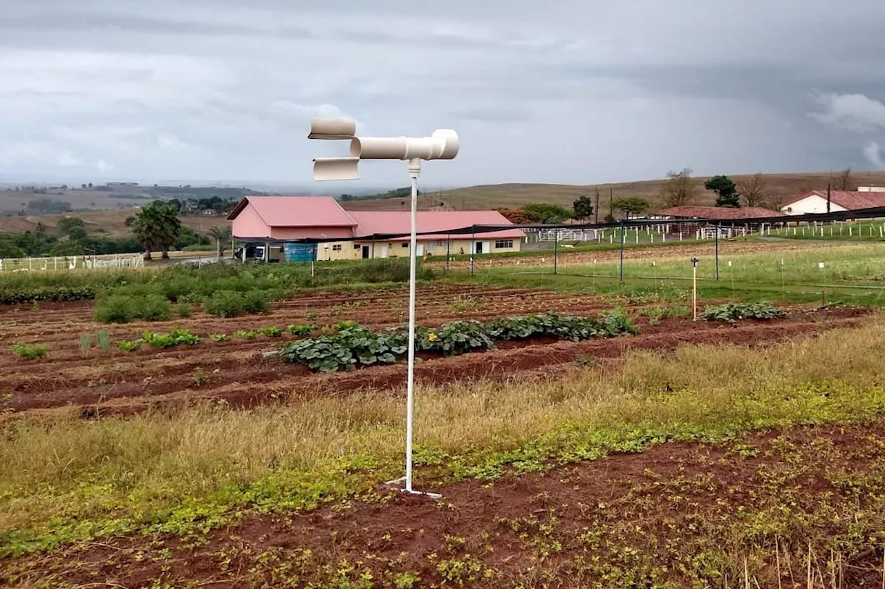 IA auxilia produtores de soja no Paraná a combater doenças e pragas