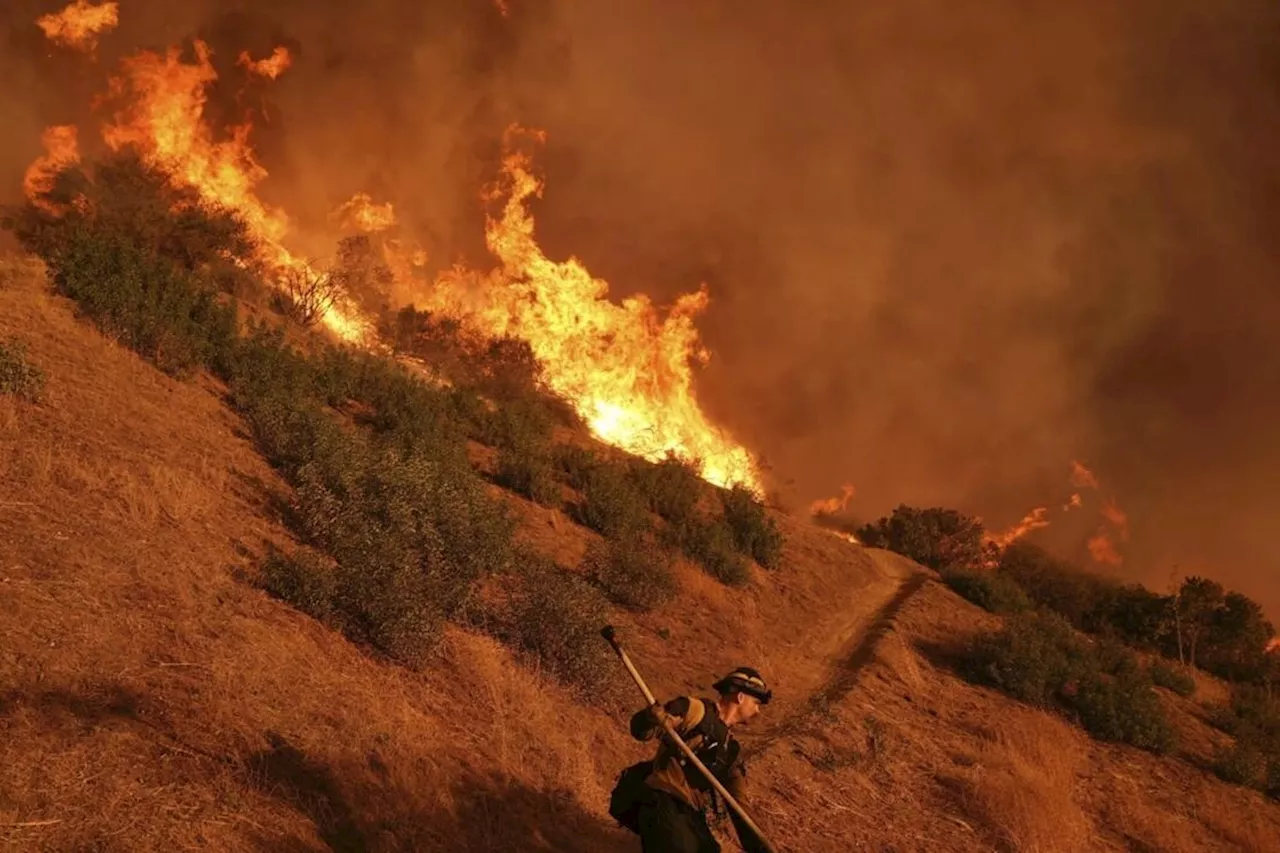 Los Angeles Inferno: City Braces For Stronger Winds As Wildfires Continue To Rage