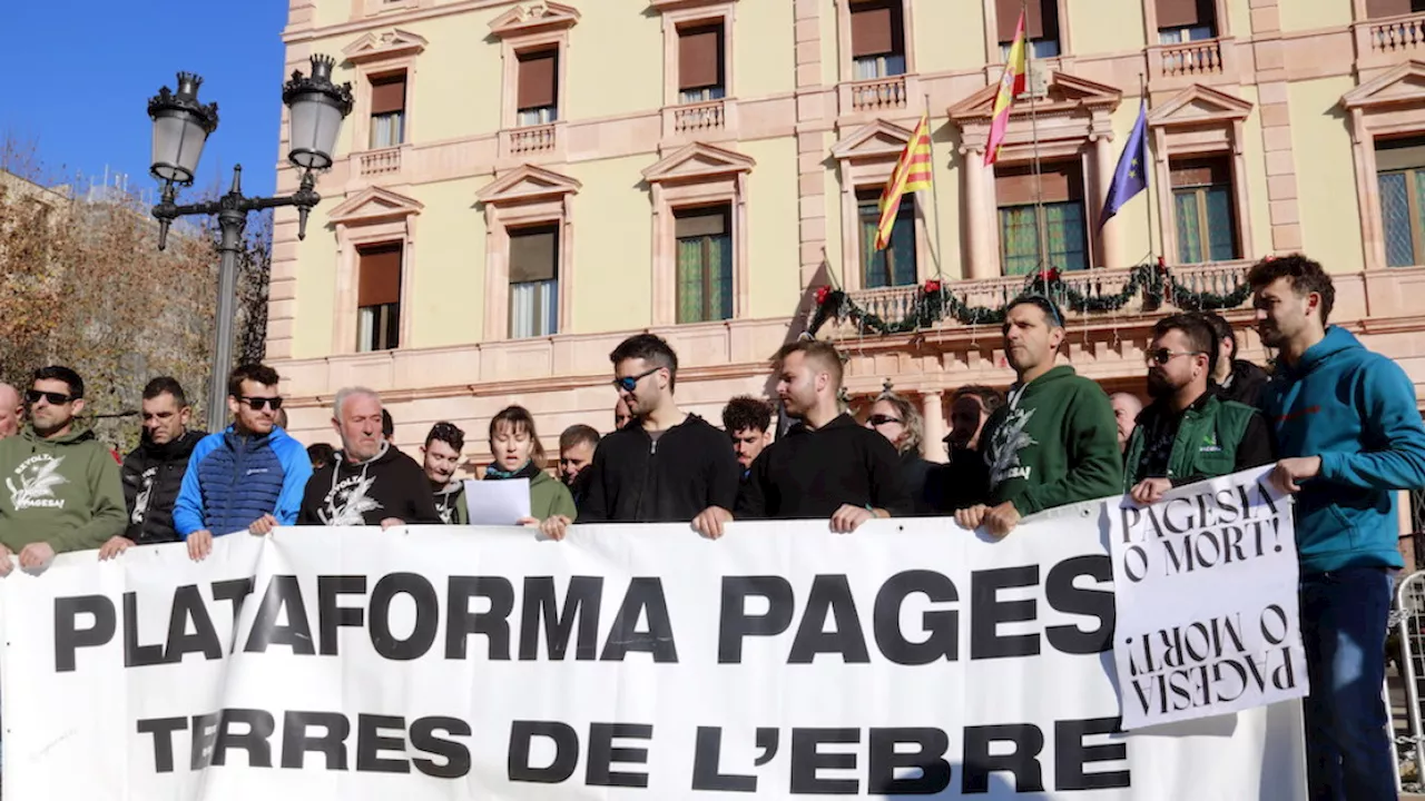 El Rejuvenecimiento del Campo Catalán: Un Desafío Para el Futuro