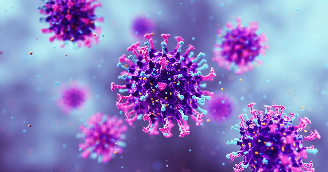 Concerns Rise Over HMPV Virus in China