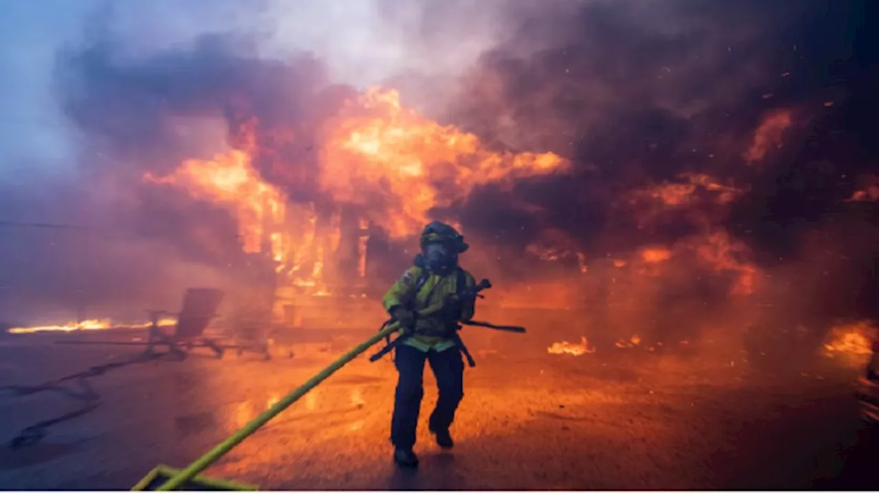 LA firefighters brace for return of extreme winds - SABC News - Breaking news, special reports, world,