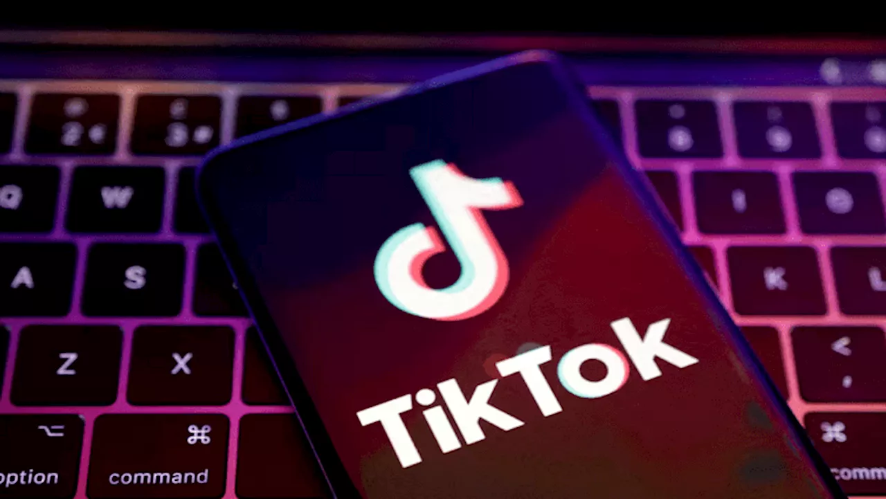 Lawmakers Urge Delay of TikTok Ban Deadline Amidst Legal Battle