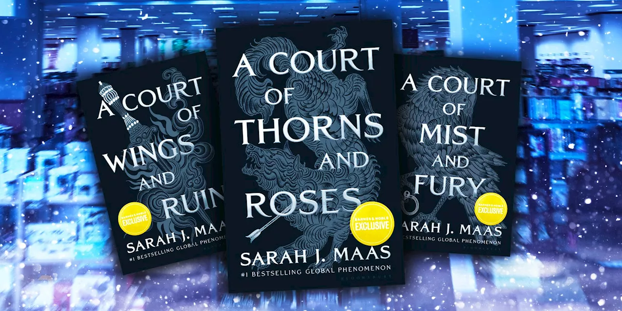 A Court of Thorns and Roses Night Court Editions Divide Fans