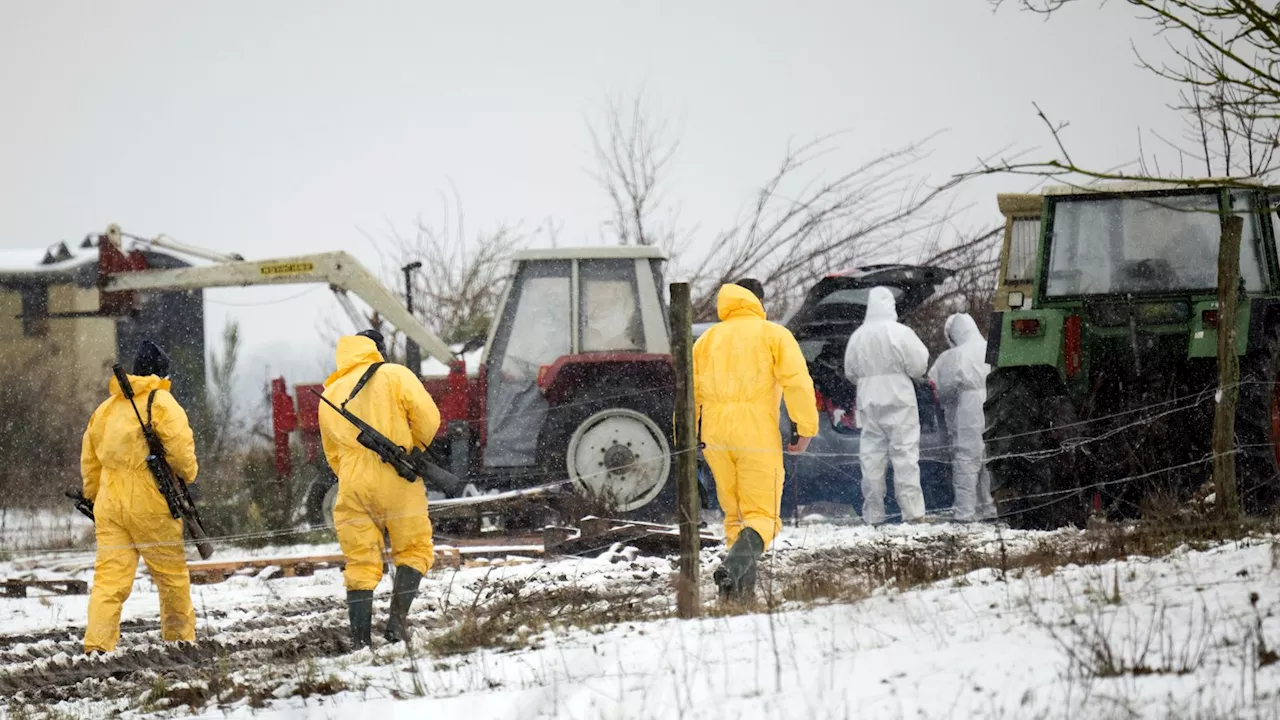 Foot and Mouth Outbreak in Germany Triggers Import Ban to Great Britain