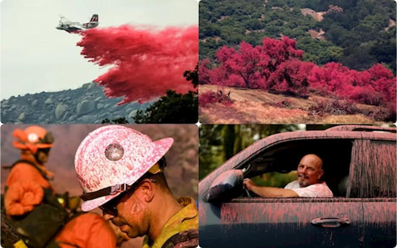 Incendio Los Angeles, la polvere contro i roghi Phos-Chek tinge la città di rosa. FOTO