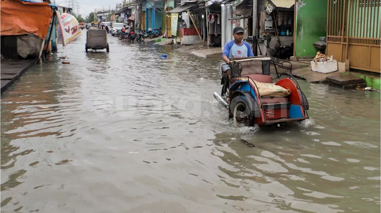 Rob di Muara Angke Jakarta Utara Masih Ada, Warga Tetap Aktiv