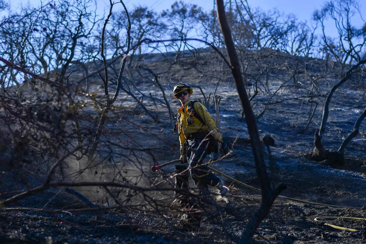 Incendies à Los Angeles : le vent se renforce et fait craindre de nouveaux départs de feu, le point ce mardi matin