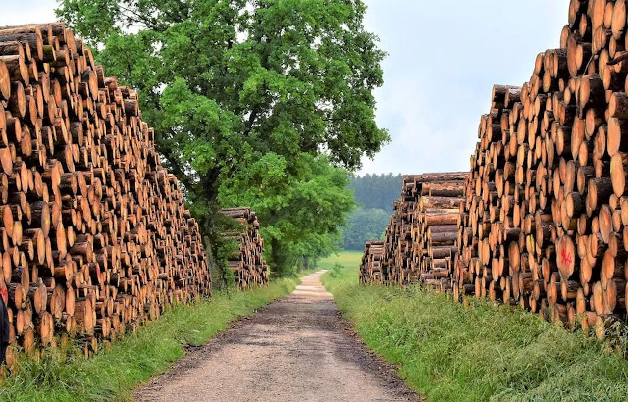 Peut-on promouvoir le chauffage au bois au nom de l’environnement ?