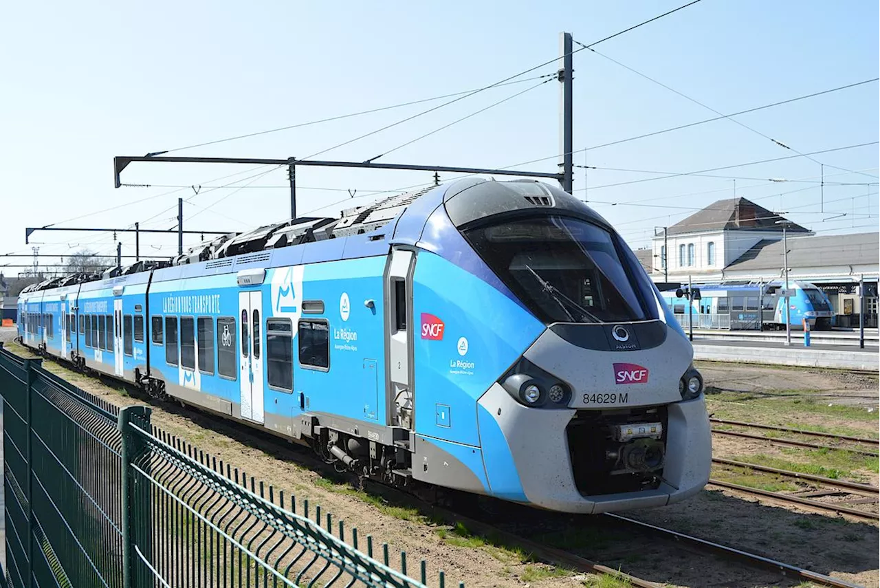 Un contrôleur SNCF et un passager aident une femme à accoucher dans un train