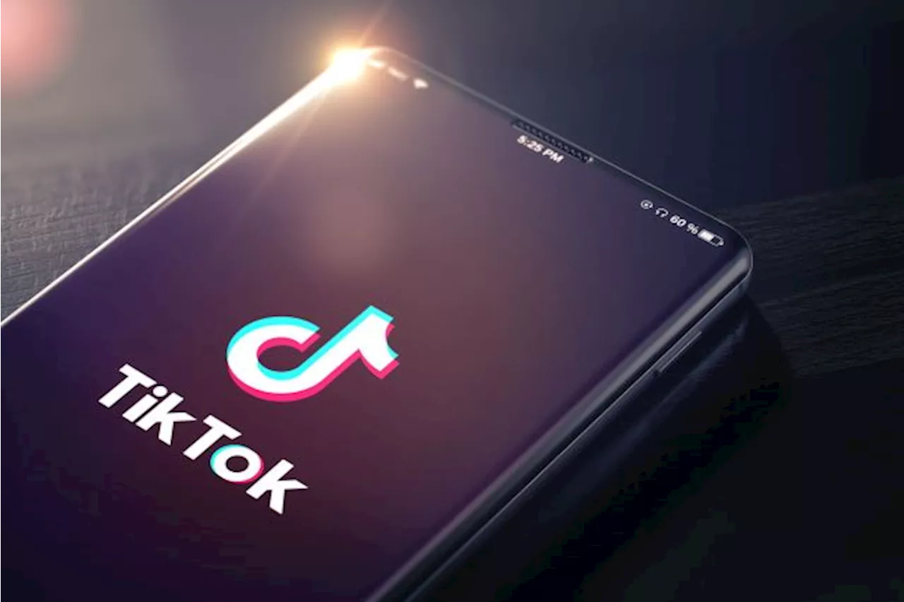 US-Geschäft von Tiktok könnte an Elon Musk verkauft werden