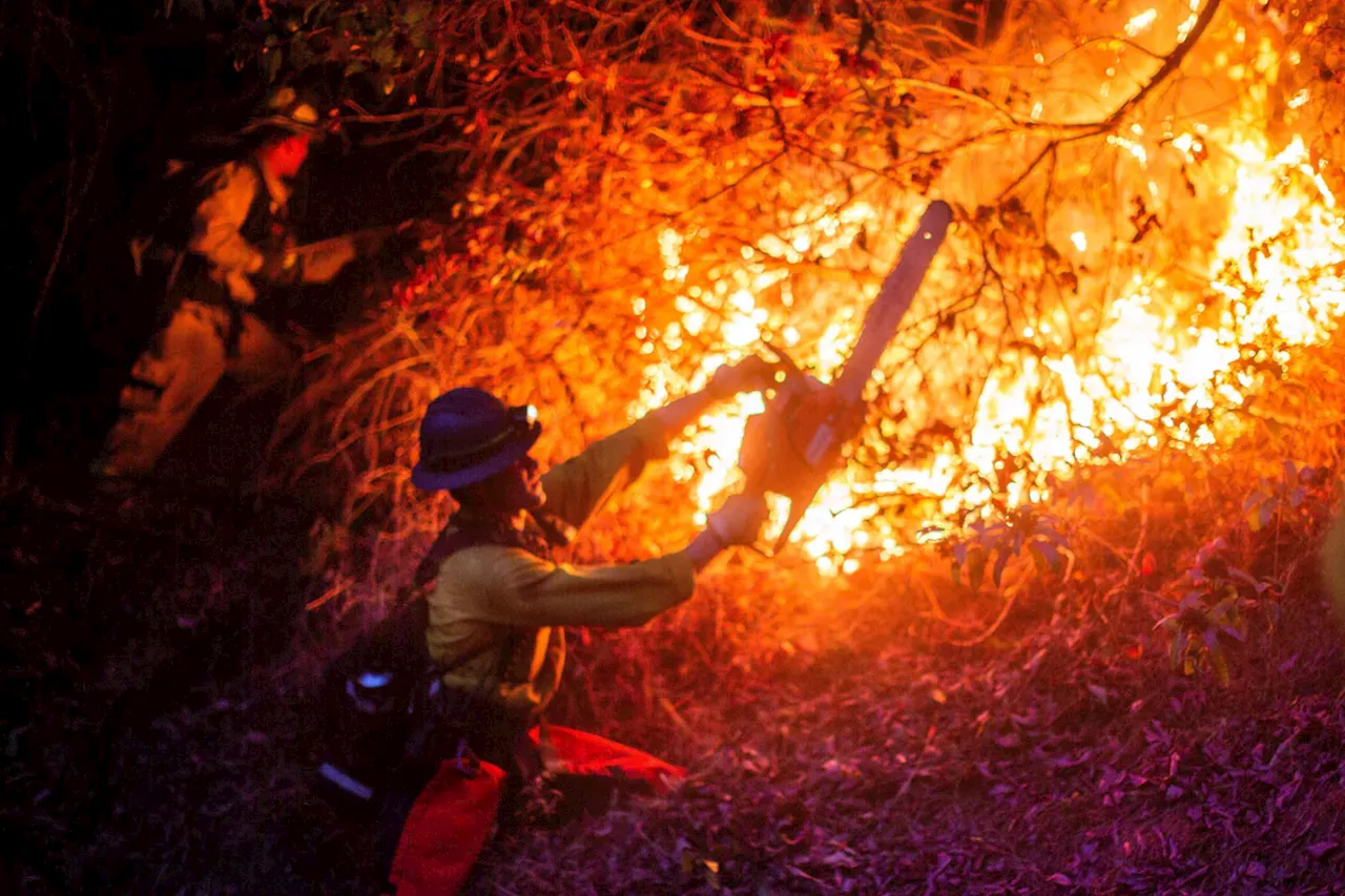 Feuer in Los Angeles: Warnung vor neuen Winden in 'Hurrikanstärke' - Oscar-Nominierungen erneut verschoben