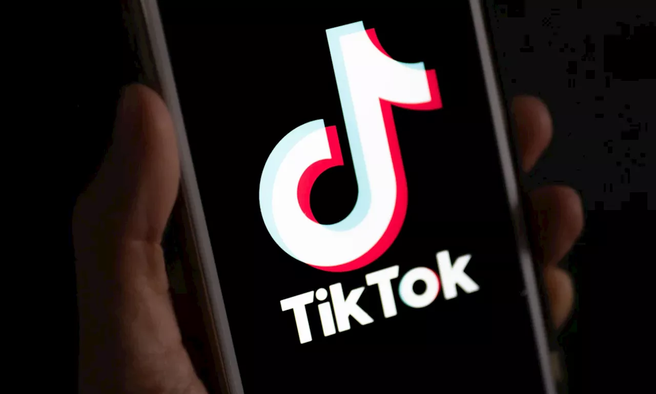 Tiktok-Verkauf an Elon Musk im Gespräch