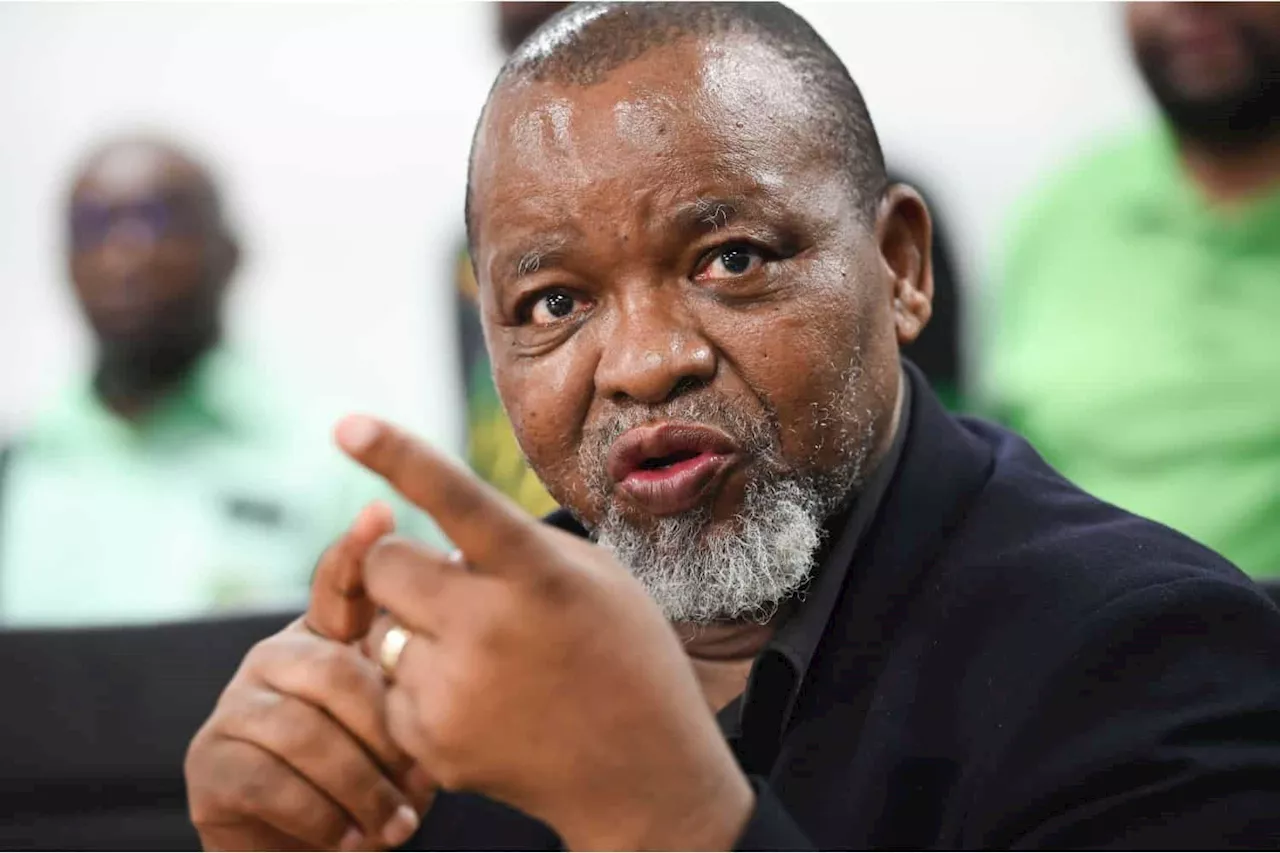 Mantashe Defends Government's Response to Stilfontein Illegal Miner Rescue