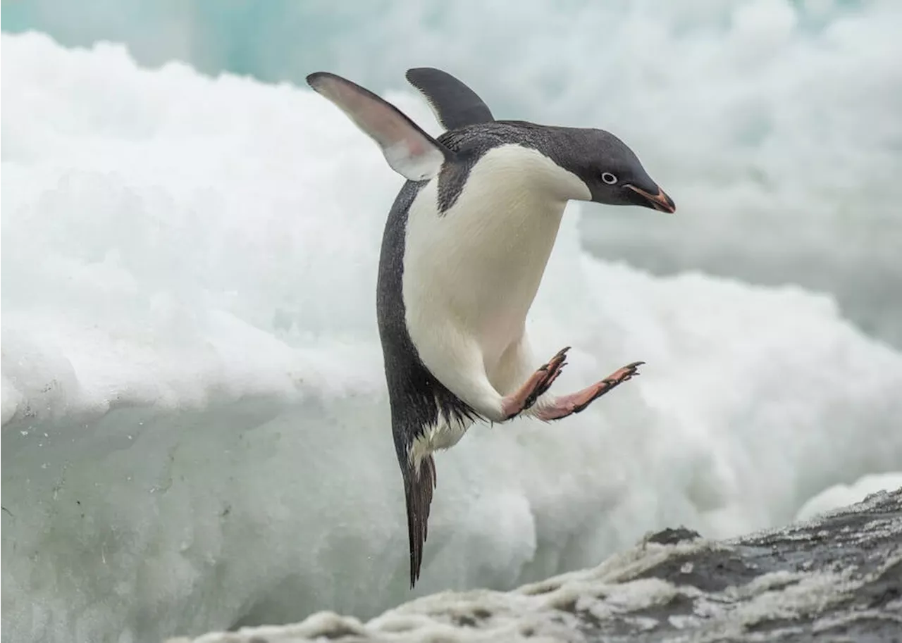 Microsoft Code Nearly Breaks Linux Kernel