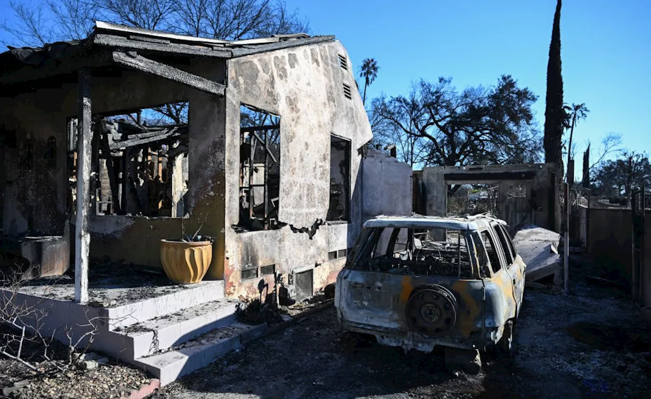 California Wildfires Devastate Pacific Palisades, Leaving Residents Traumatized and Homes in Ruins