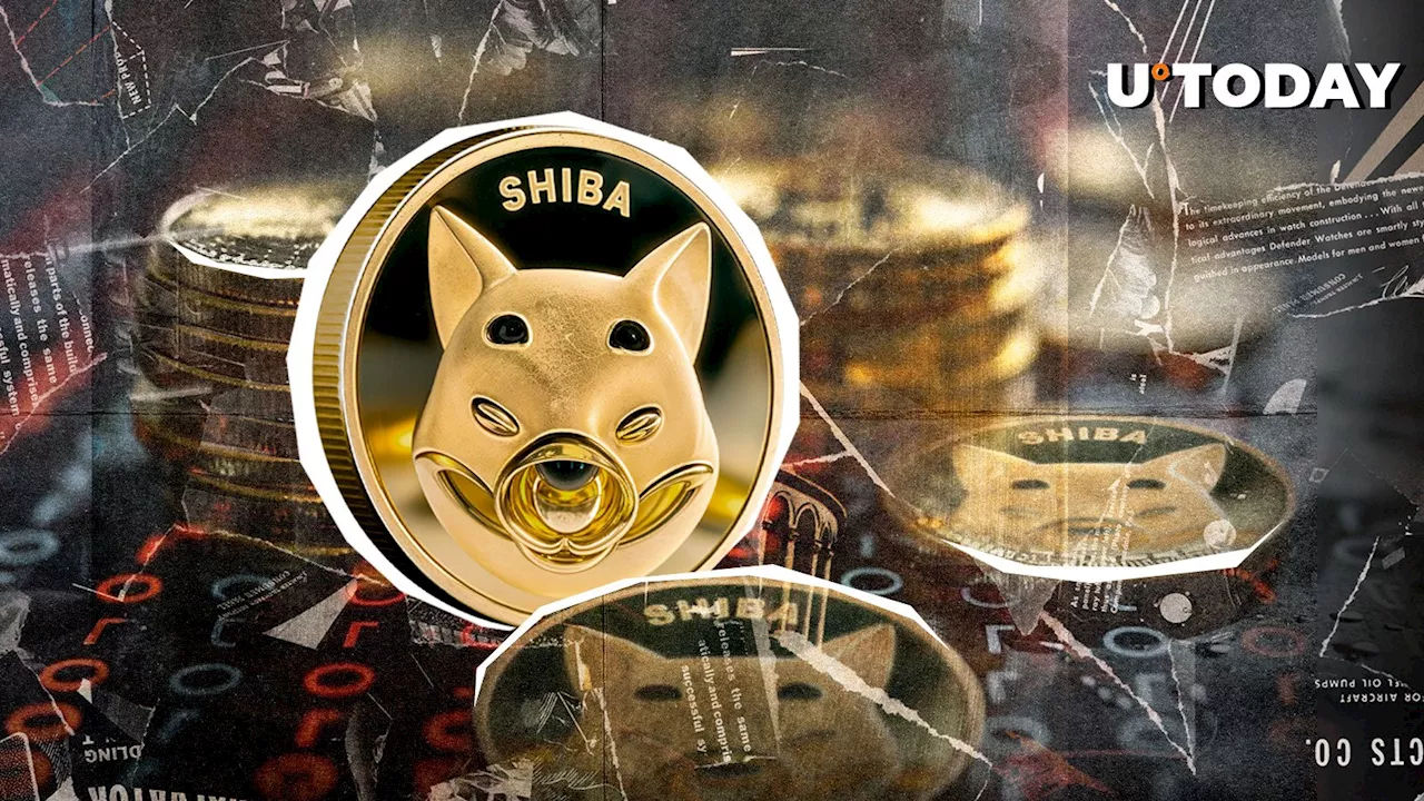 SHIB Rebounds Above 200 EMA: A Glimpse of Hope for Investors