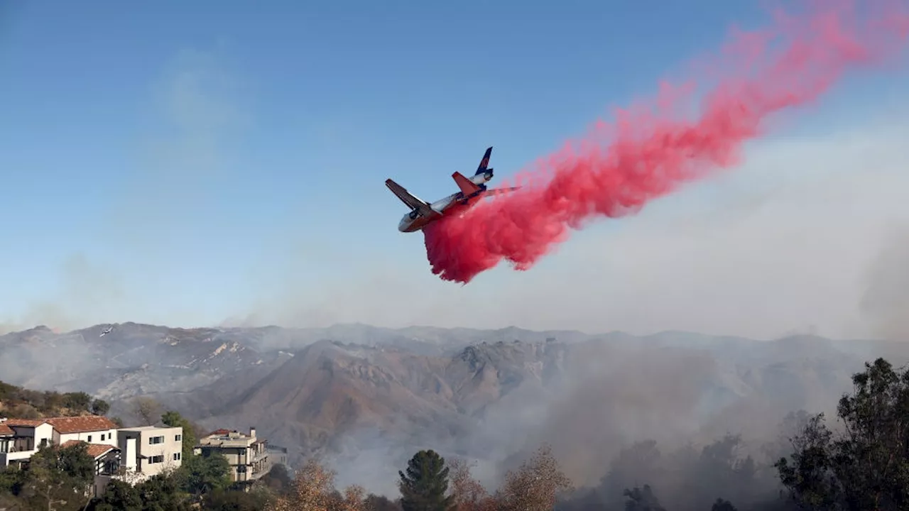 La Polvere Rosa: Come Funziona e Quali Sono i Rischi