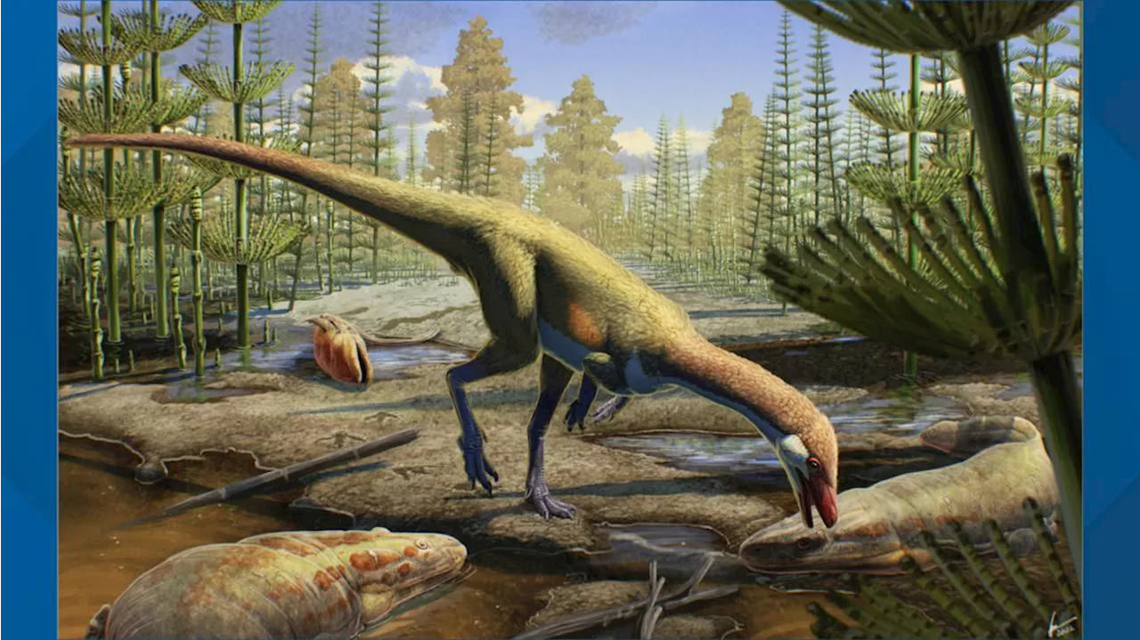 Tiny Dinosaur Unearths Big Evolutionary Secrets, May Be Oldest in North America