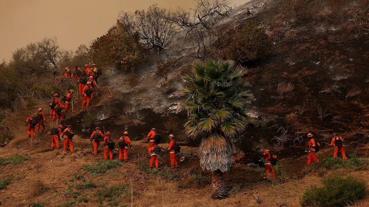 Incarcerated Firefighters Battle LA Blazes on Low Wages