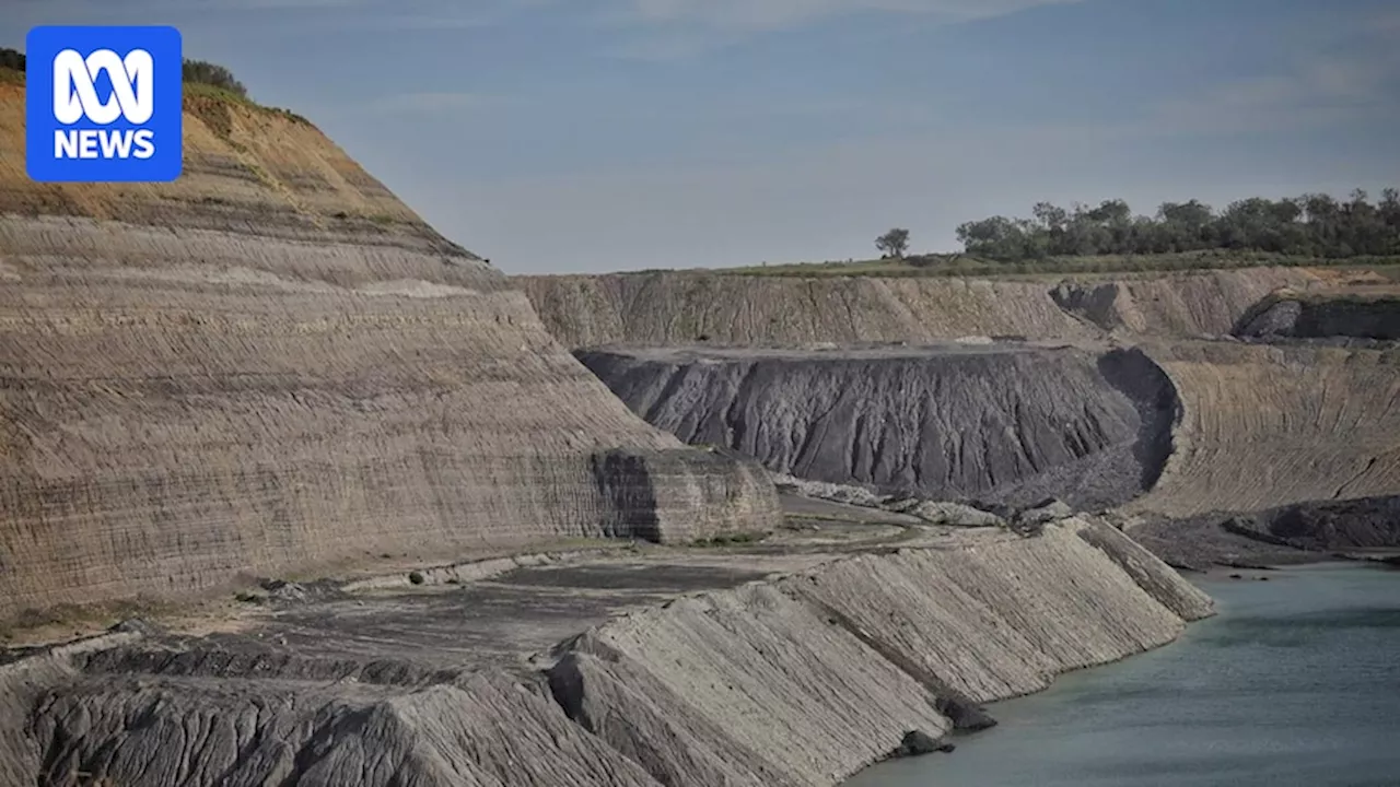 Coal Mine Expansion: Oakey Coal Action Alliance Ends Decade-Long Legal Battle