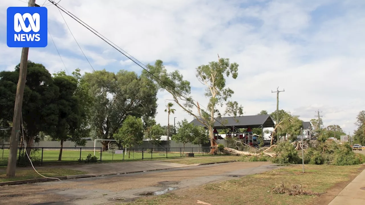 Man Killed as Severe Storms Ravage New South Wales