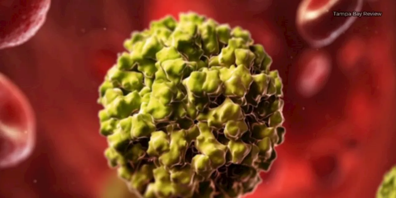 Alaska Sees Increase in Flu, RSV Cases Amidst National Norovirus Surge