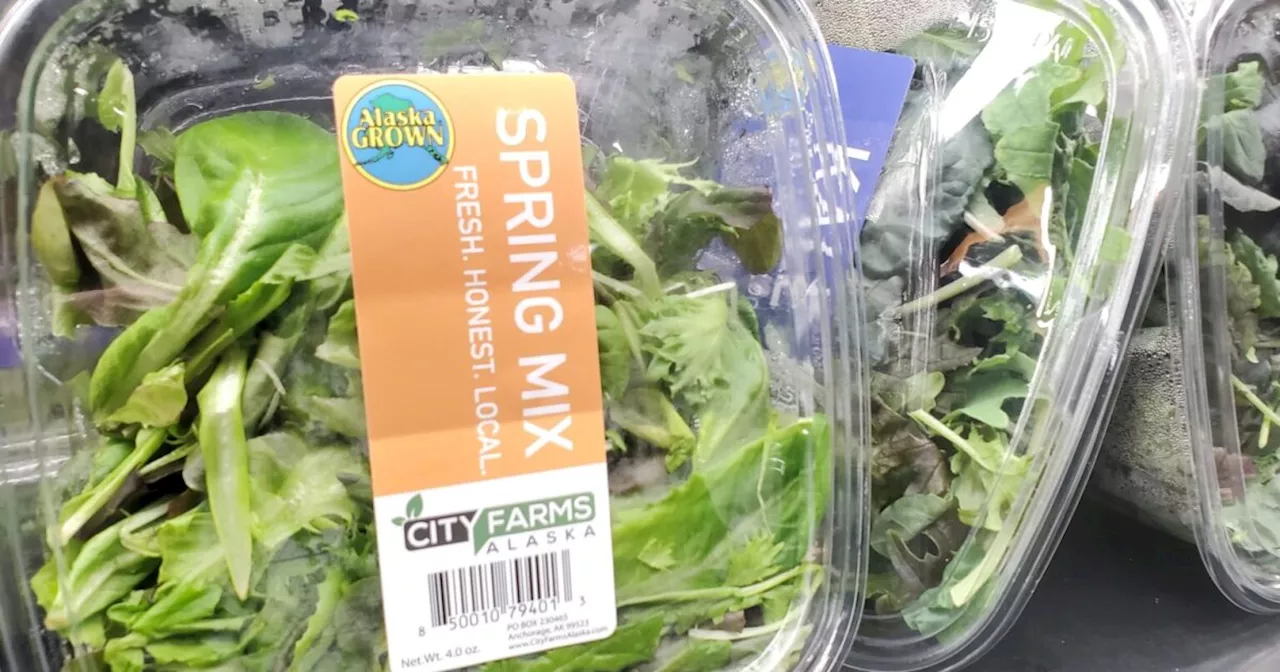 Alaska Shoppers Willing to Pay More for Locally Grown Lettuce