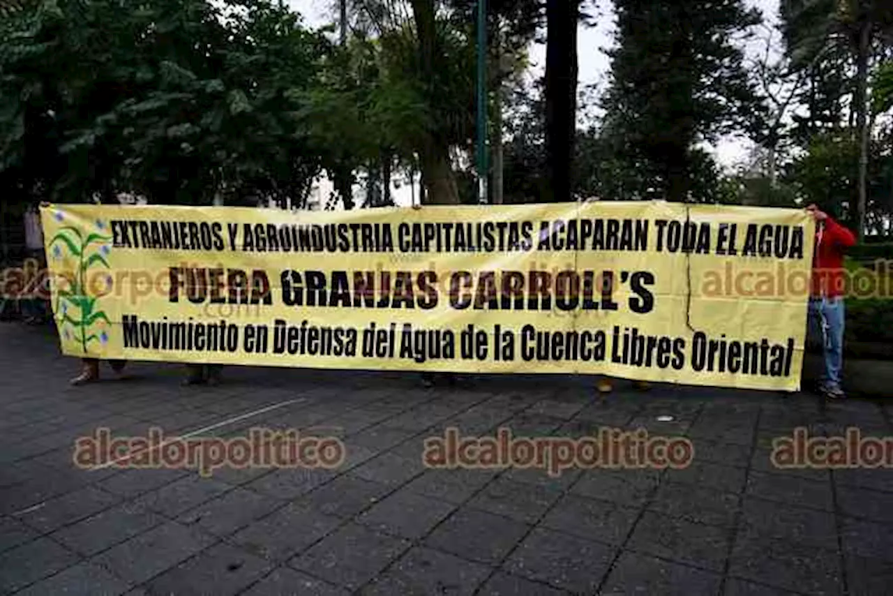 Caso Totalco: Gobierno de Cuitláhuac mintió, nunca clausuró a Granjas Carroll