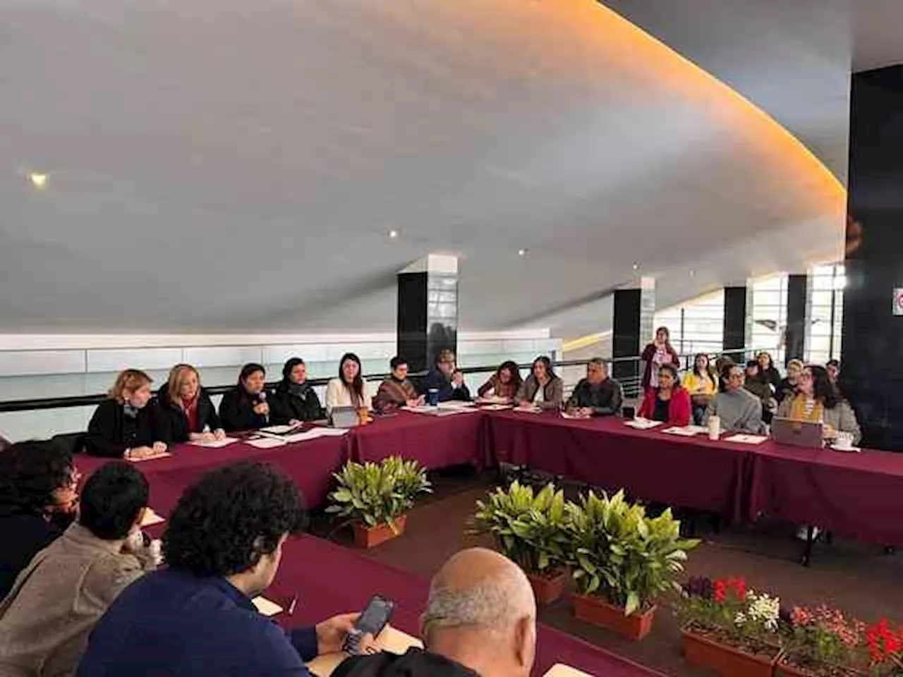 Programa Sectorial de Cultura Culmina en Xalapa con Reunión de Consulta