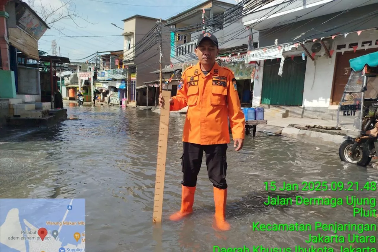 Banjir Rob di Jakarta Utara Belum Surut, BPBD DKI Pantau