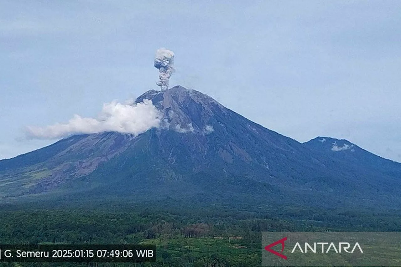 Gunung Semeru Erupsi dengan Tinggi Letusan 900 Meter