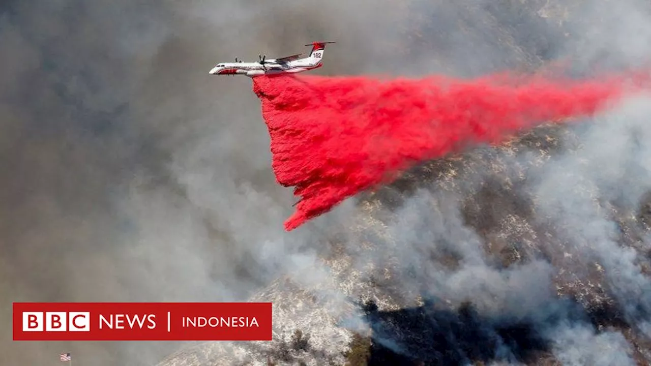 Bubuk Merah dan Pink di California Selatan: Zat Penghalang Api yang Kontroversial