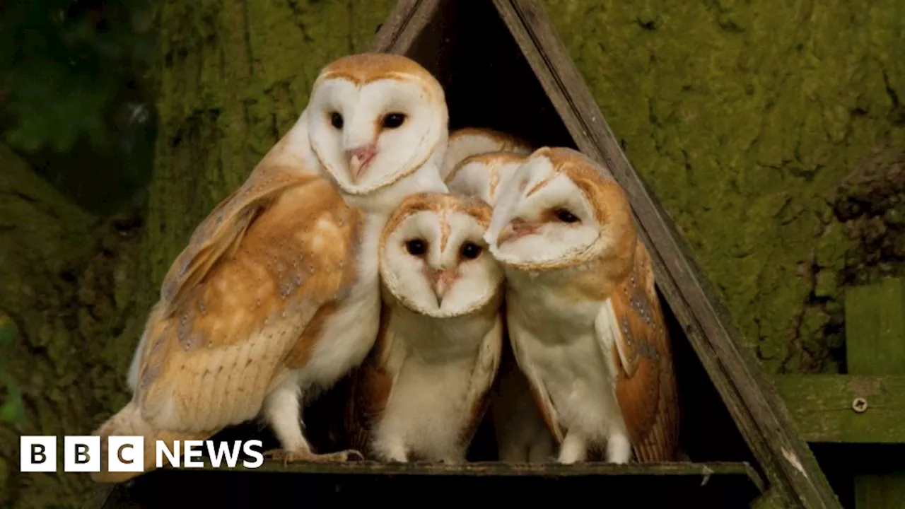 Wildlife survey shows nature doing well despite weather challenge