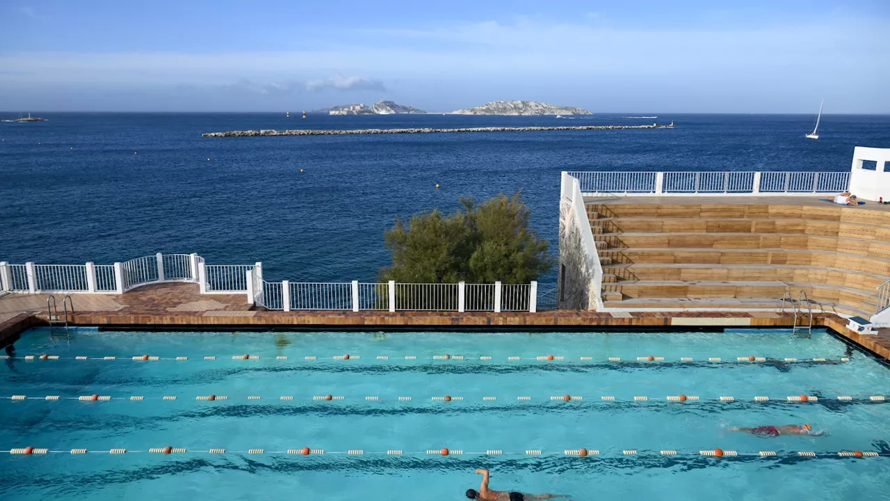 Les Marseillais bientôt prêts à sauter dans le grand bain