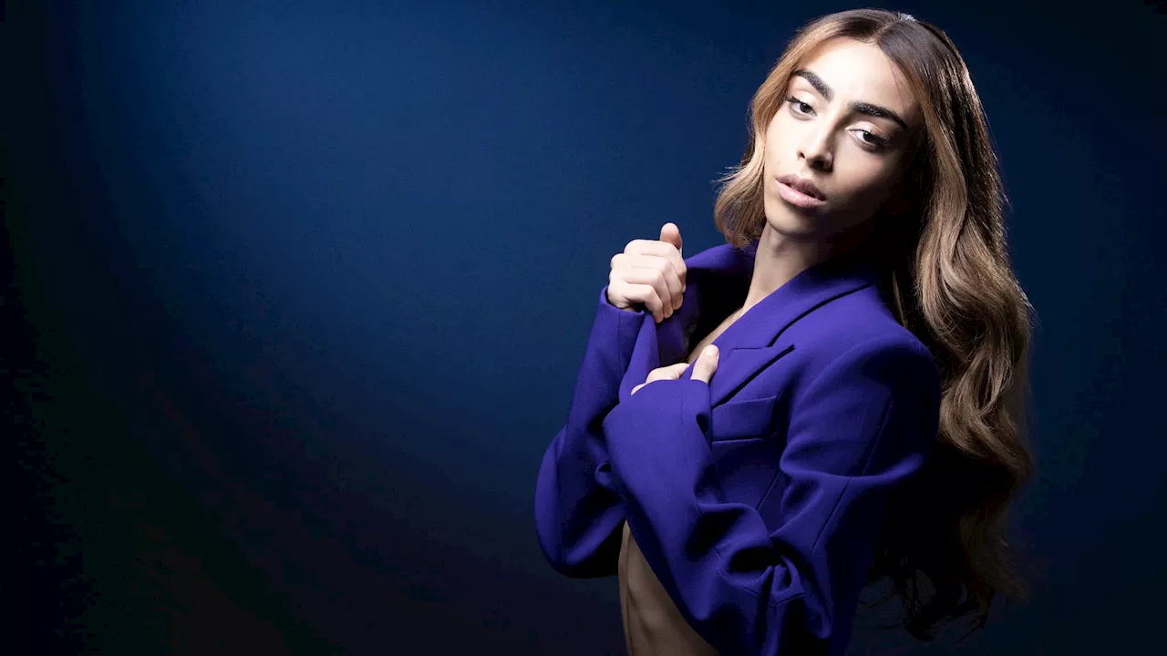 Provocation à la haine contre Bilal Hassani: quatre hommes condamnés