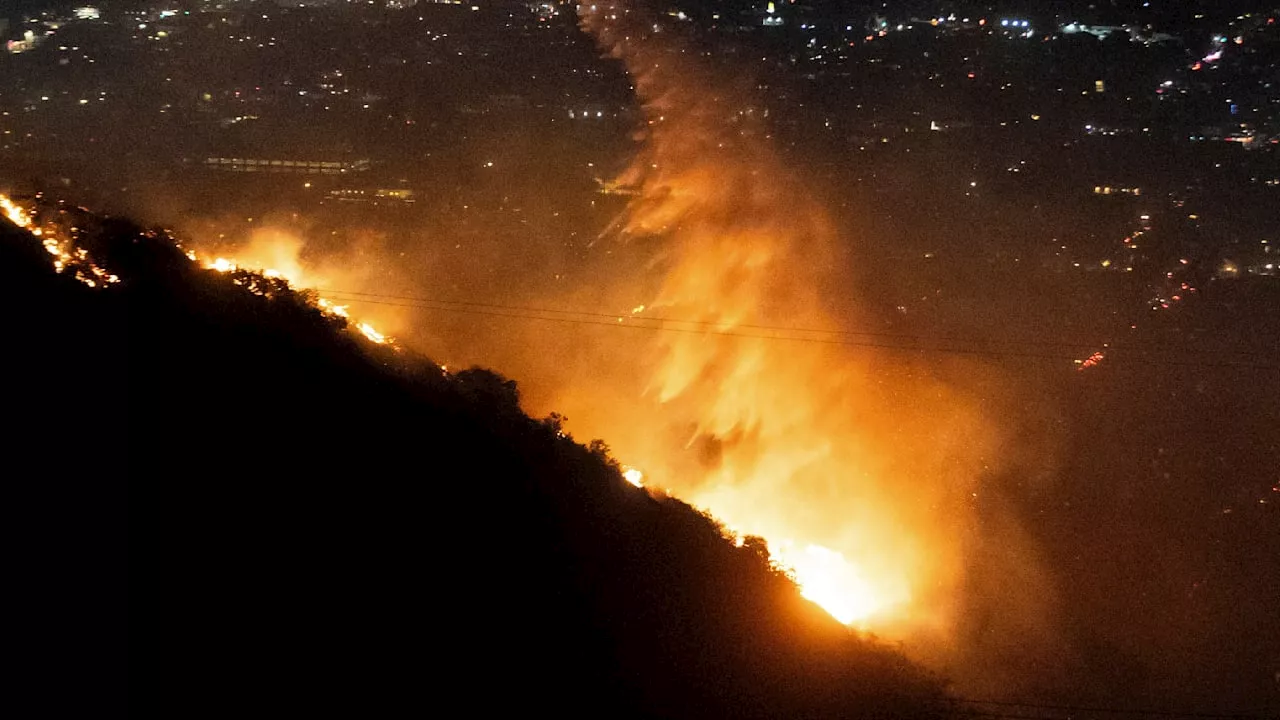 Inferno in Los Angeles: Brandkatastrophe fordert mindestens 25 Todesopfer