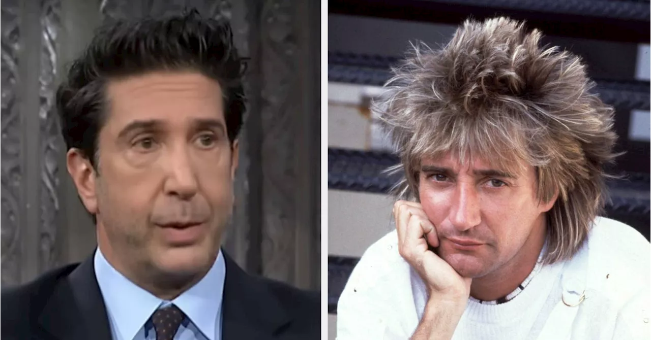 David Schwimmer Once Served Rod Stewart With Divorce Papers