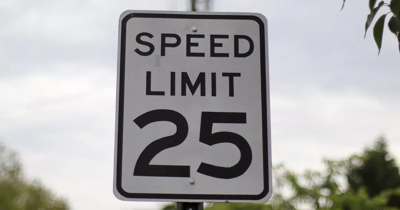 Push to lower Chicago speed limit to 25 mph hits a red light in City Council