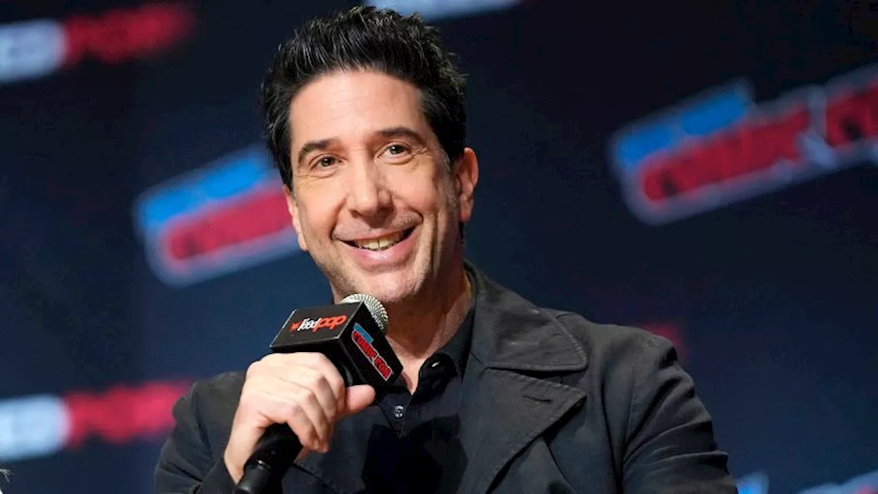 David Schwimmer Served Divorce Papers to Rod Stewart