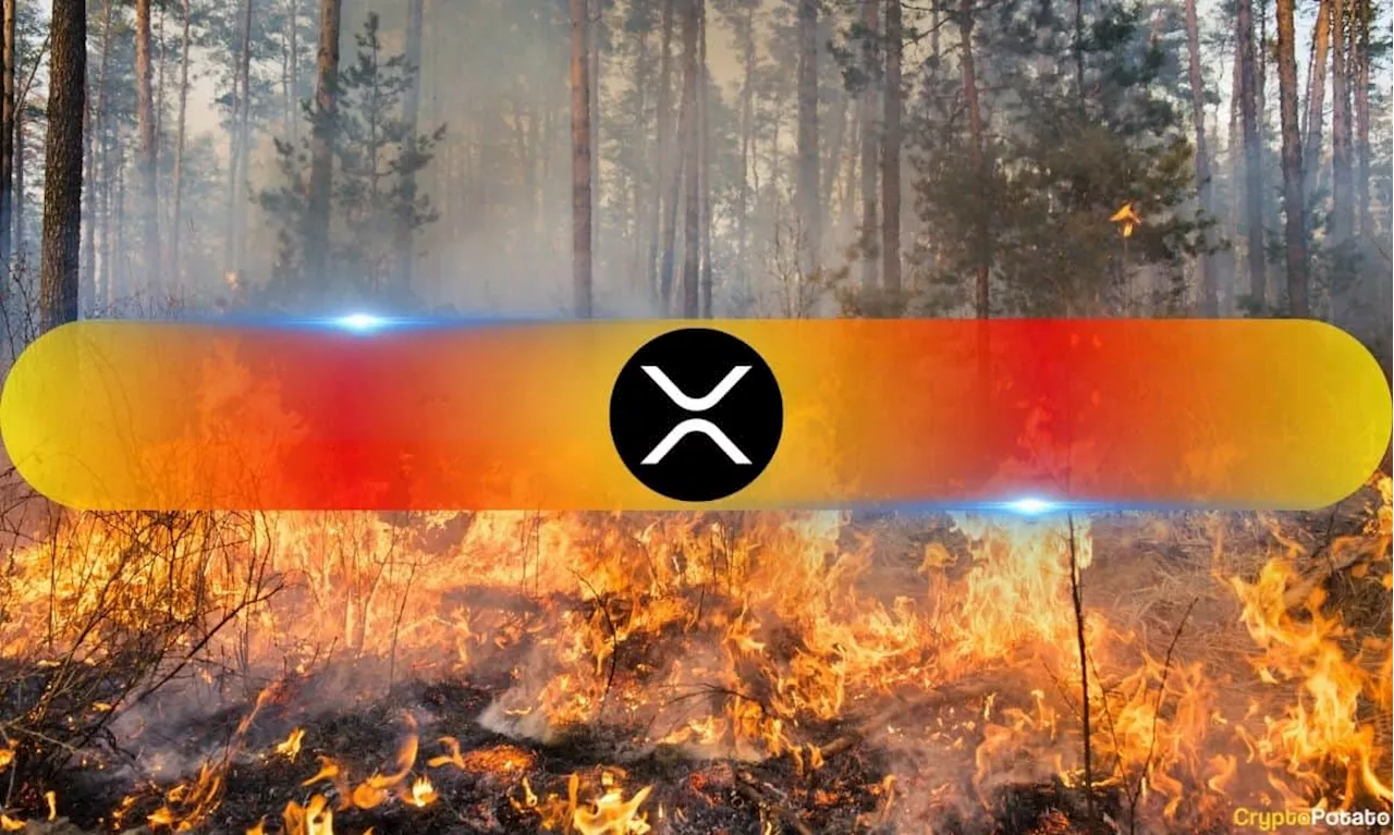 Ripple Donates $100,000 in XRP to Aid California Wildfire Victims