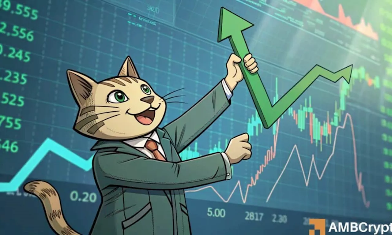 Popcat Shows Signs of Recovery After Sharp Decline