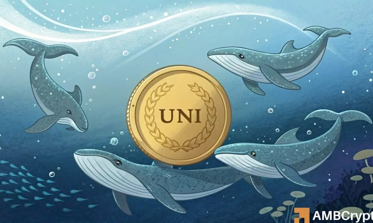 UNI Price on the Rise: Whale Activity, Increased Trading, and Bullish Signals