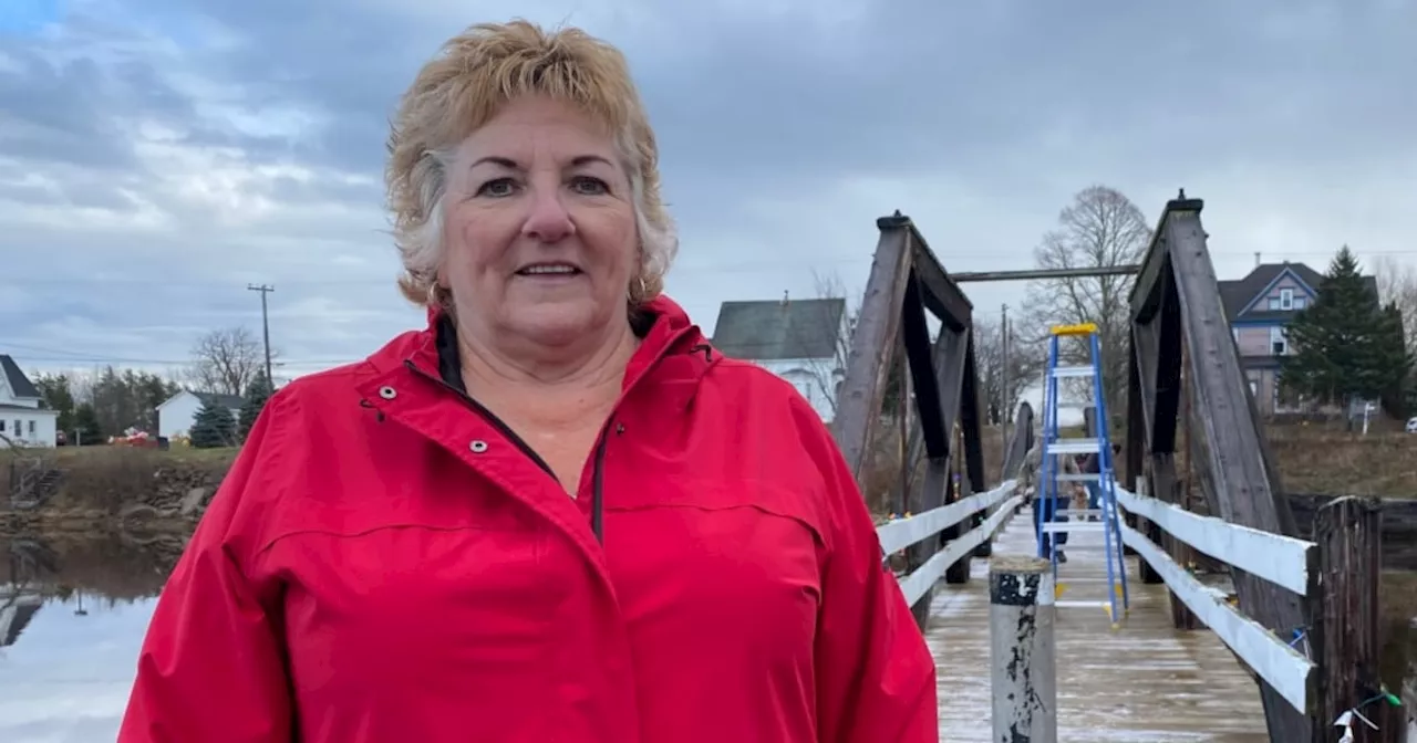 Port Elgin, N.B., rallies behind woman's plan to light historic landmark at Christmas