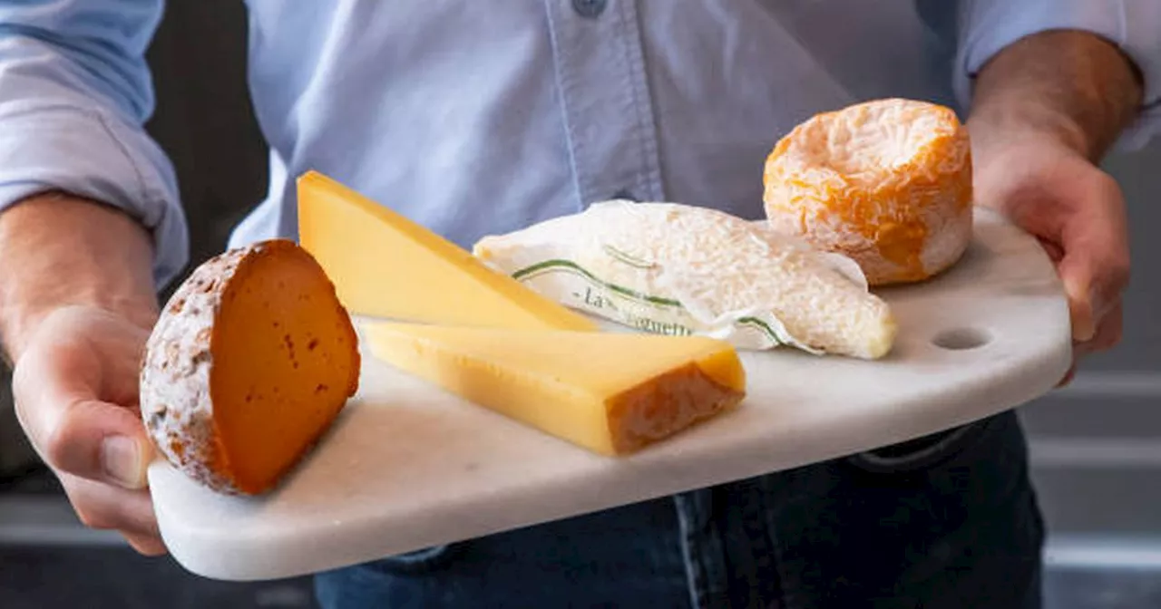 Could Camembert Cheese Boost Your Brain Power?