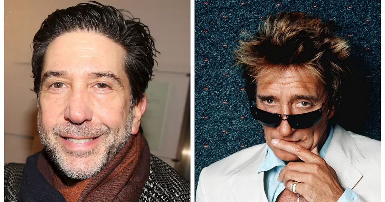 David Schwimmer Served Rod Stewart With Divorce Papers in His College Days