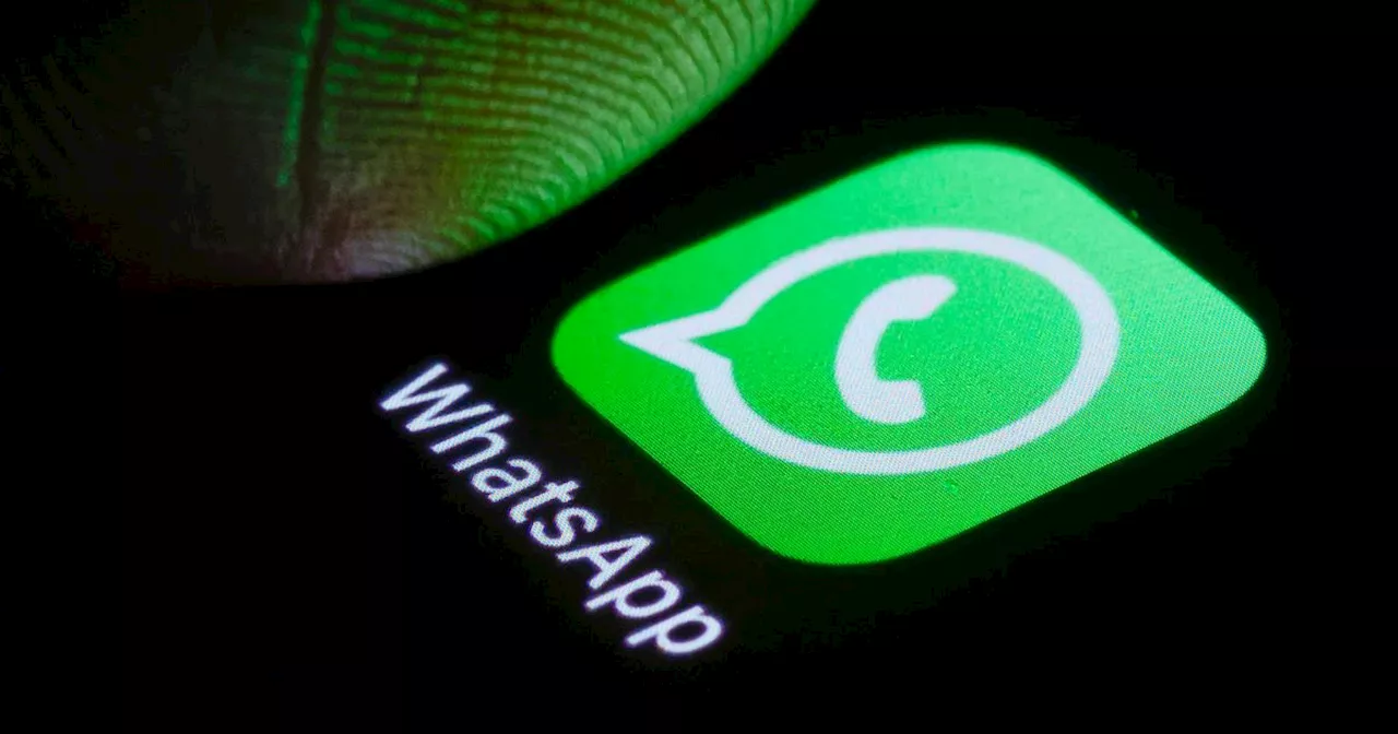 WhatsApp Rolls Out Exciting New Features: Selfie Stickers, Camera Effects, and Faster Reactions